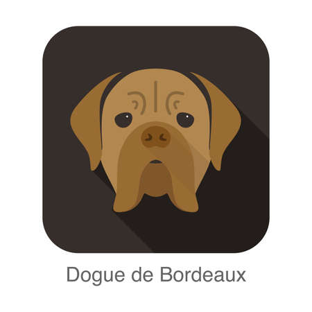 Dogue de bordeaux dog face portrait flat icon design, vector illustrationのイラスト素材