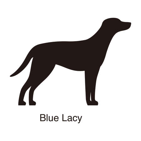 Blue Lacy dog silhouette, side view, vector illustrationのイラスト素材