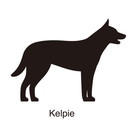 Kelpie dog silhouette, side view, vector illustrationのイラスト素材