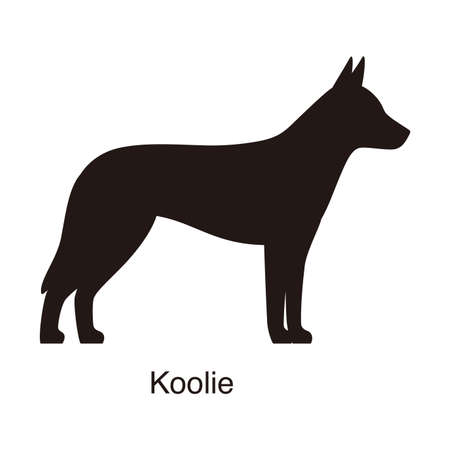 Koolie dog silhouette, side view, vector illustrationのイラスト素材