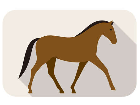 animal horse series flat icon, walking vector illustrationのイラスト素材