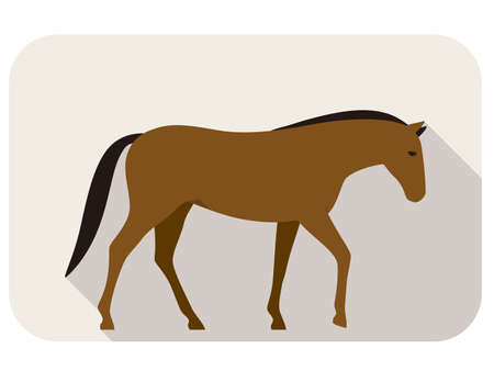 animal horse series flat icon, walking vector illustrationのイラスト素材
