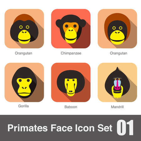 cute monkey face flat icon set vector illustrationのイラスト素材