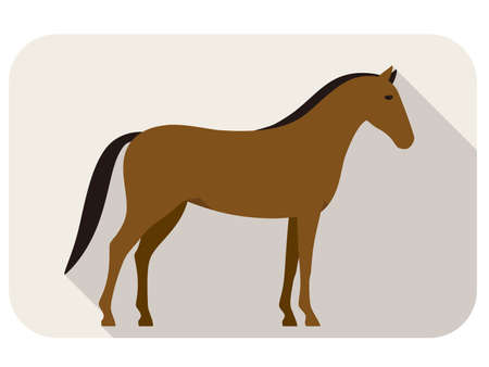 animal horse series flat icon, standing vectorのイラスト素材