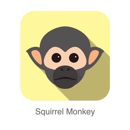 cute squirrel monkey face flat icon design, vector illustrationのイラスト素材