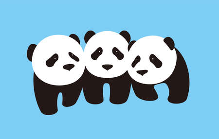 three cute panda babies standing together, flat design, vectorのイラスト素材