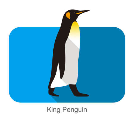King Penguin walking, Penguin seed series, vector illustrationのイラスト素材