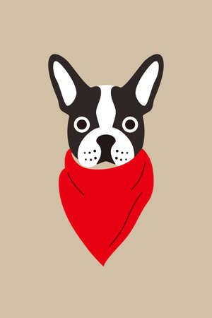 hipster, portrait of dog, gentlemen dog, vector illustrationのイラスト素材