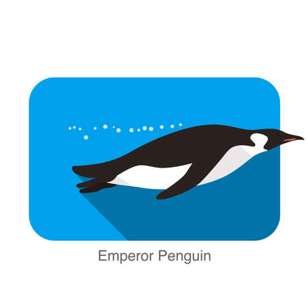Emperor Penguin swimming in the water, Penguin seed series, vectorのイラスト素材