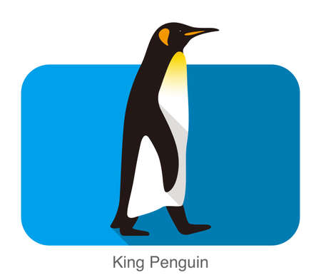 King Penguin walking, Penguin seed series, vector illustrationのイラスト素材
