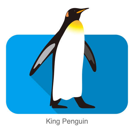 King Penguin standing watch up, Penguin seed series, vector illustrationのイラスト素材