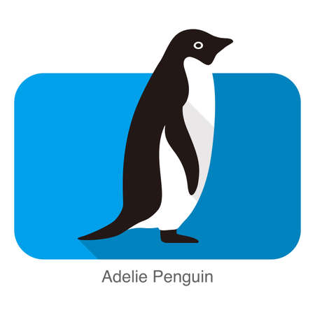 Adelie penguin standing, Penguin series vector illustrationのイラスト素材