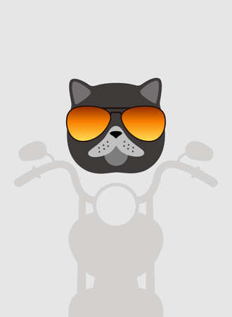 Portrait of cat, wearing glasses, like a motorcyclist, cool style, cosplayのイラスト素材