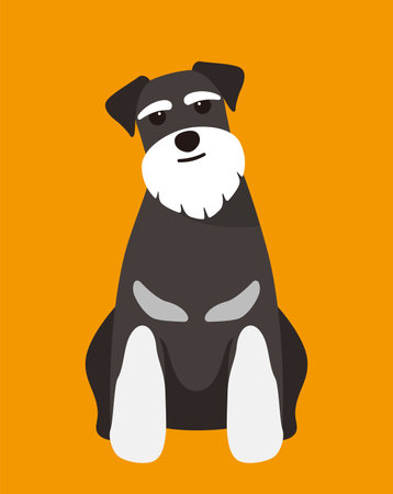 Schnauzer dog is sitting waiting for the master's orderのイラスト素材