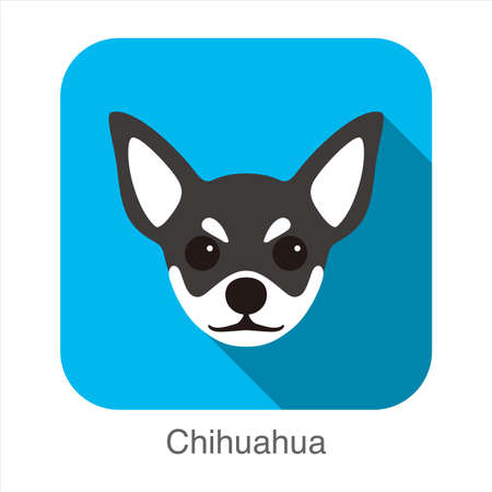 Chihuahua face flat icon design, vector illustrationのイラスト素材