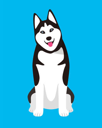 Schnauzer dog is sitting waiting for the master's orderのイラスト素材