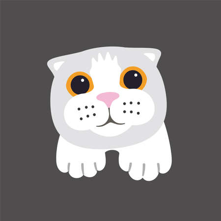 Scottish Fold cat face flat icon design, vector illustrationのイラスト素材
