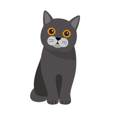 Exotic cat standing, flat icon design, vector illustrationのイラスト素材