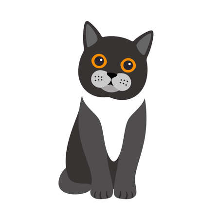 Exotic cat standing, flat icon design, vector illustrationのイラスト素材
