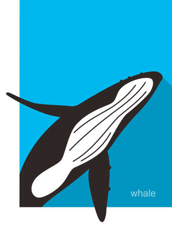 Humpback Whales jumping in the sea, animal flat iconのイラスト素材