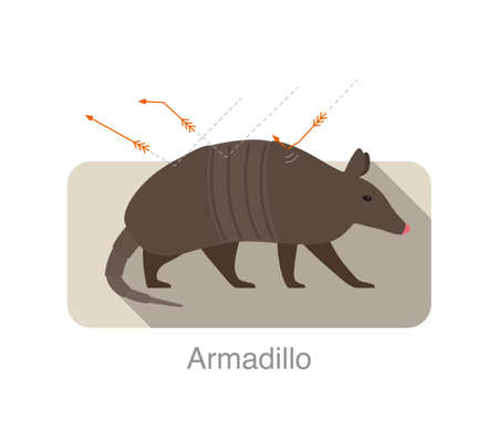 Arrow shoot to the armadillo, and some are brokenのイラスト素材