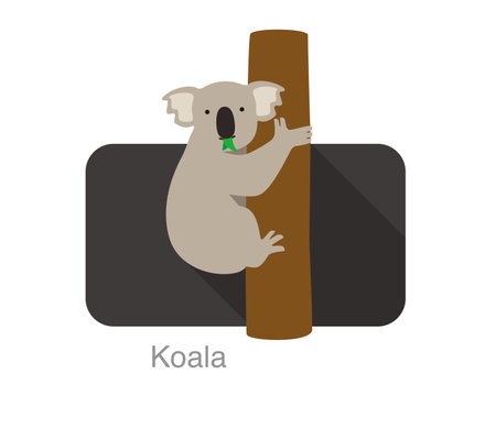 koala climbing the tree and eating eucalyptus leaves , vector illustrationのイラスト素材
