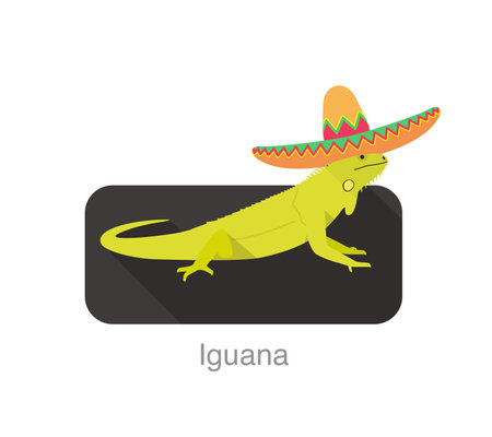 Iguana searing Mexico straw hat, vector illustrationのイラスト素材
