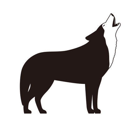 Wolf standing and roaring, white backgroundのイラスト素材