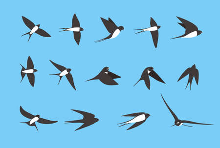 Swallow flying flat icons set, vector illustrationのイラスト素材