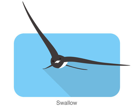 Swallow flat icon design, cartoon, vector illustrationのイラスト素材