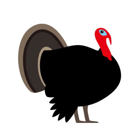 Turkey, farm animal black icon, vector illustrationのイラスト素材