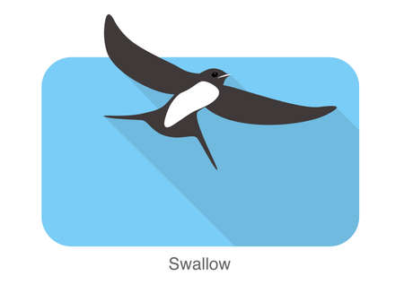 Swallow flat icon design, cartoon, vector illustrationのイラスト素材