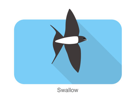 Swallow flat icon design, cartoon, vector illustrationのイラスト素材