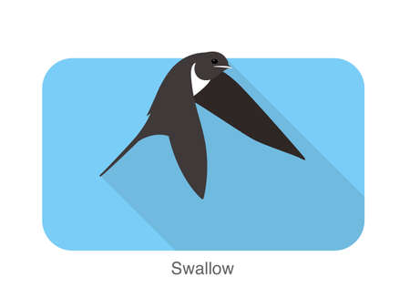 Swallow flat icon design, cartoon, vector illustrationのイラスト素材