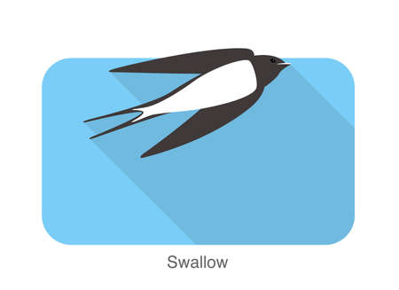 Swallow flat icon design, cartoon, vector illustrationのイラスト素材