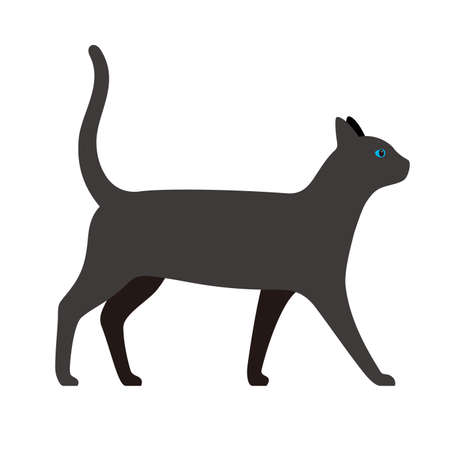 Cat, farm animal black icon, vector illustrationのイラスト素材