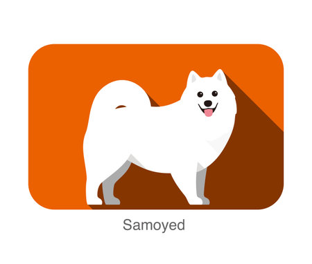 Samoyed dog standing on the ground, side, face forward, dog cartoon imageのイラスト素材