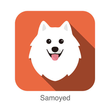 Samoyed dog face flat icon design, vector illustrationのイラスト素材