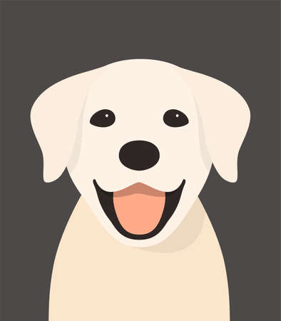 Golden Retriever face, front view, vector illustrationのイラスト素材