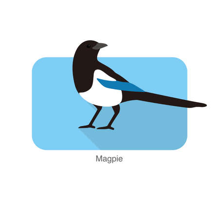 Magpie bird standing on a branch, vector illustrationのイラスト素材