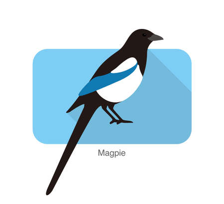 Magpie bird standing on a branch, vector illustrationのイラスト素材