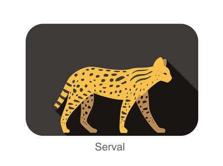 Serval cat walking side flat 3D icon designのイラスト素材
