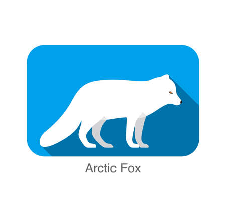 White Arctic fox standing, illustration vectorのイラスト素材