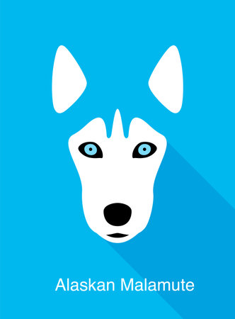 Alaskan Malamute, dog face flat icon design, vector illustrationのイラスト素材