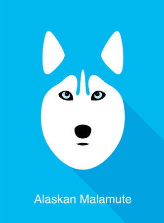 Alaskan Malamute, dog face flat icon design, vector illustrationのイラスト素材