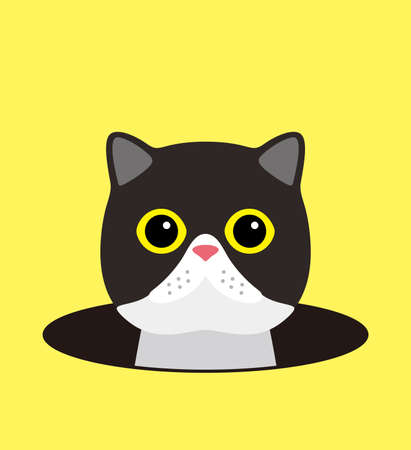 cute cat on the hole, watching, vector illustrationのイラスト素材