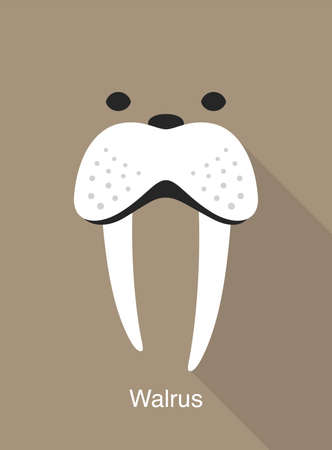 Walrus face icon, vector illustrationのイラスト素材