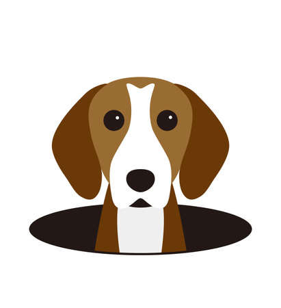 cute Beagle dog on the hole, watching, vector illustrationのイラスト素材