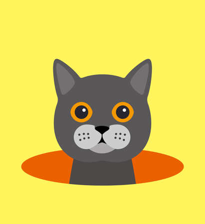 cute cat on the hole, watching, vector illustrationのイラスト素材