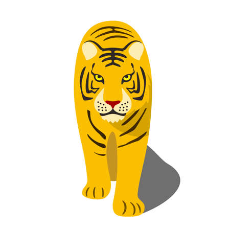 The Tiger comes to the camera, so closeのイラスト素材